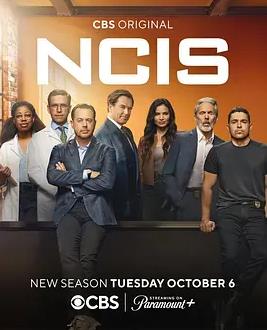海军罪案调查处第二十四季