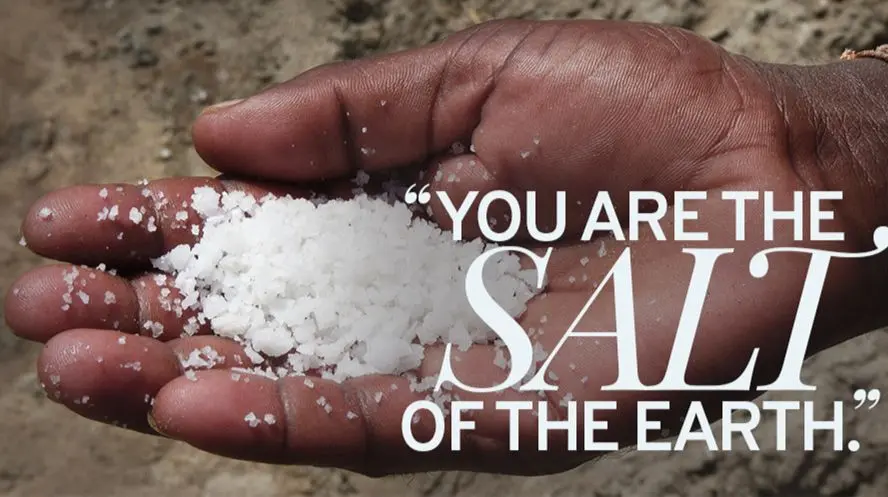 盐的尽头有点甜